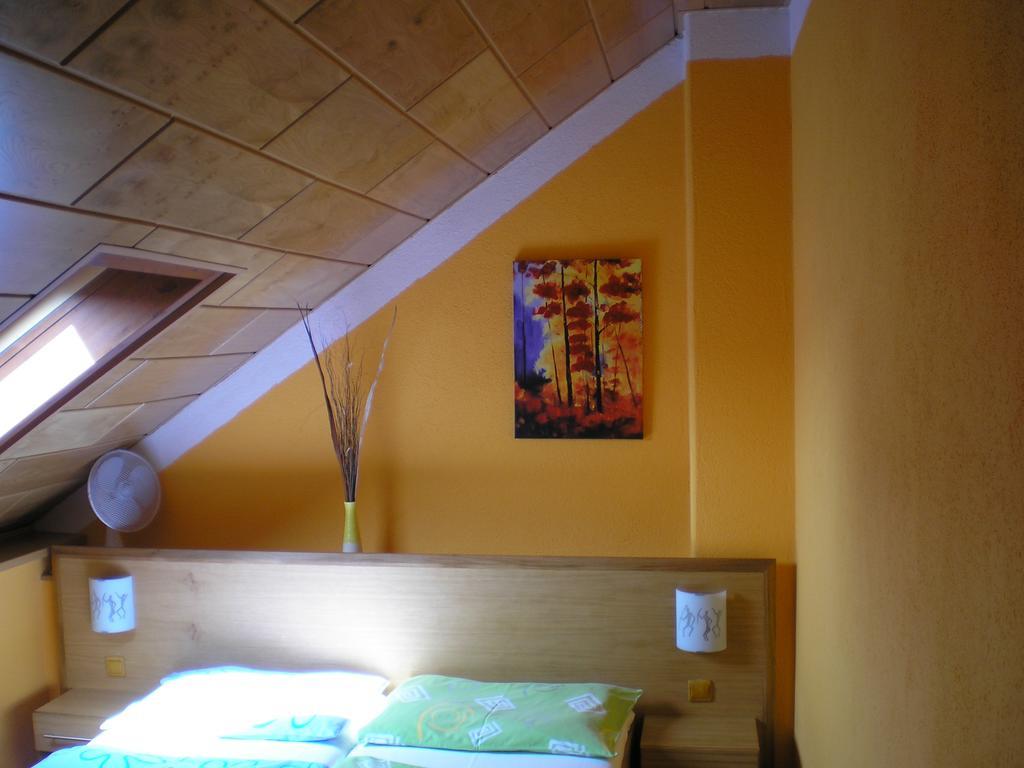 Pension Duel Ústí nad Labem Esterno foto